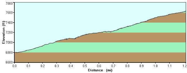 Drew Trail 291 Elevation